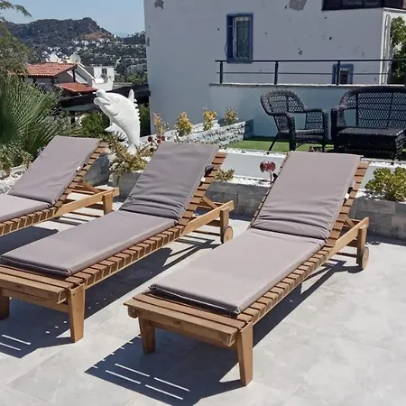 Astounding House With Private Pool And Charming Sea View In Bodrum Villa *